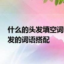 什么的头发填空词语 头发的词语搭配