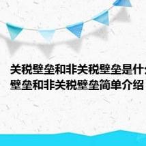 关税壁垒和非关税壁垒是什么 关税壁垒和非关税壁垒简单介绍