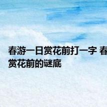春游一日赏花前打一字 春游一日赏花前的谜底