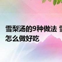 雪梨汤的9种做法 雪梨汤怎么做好吃