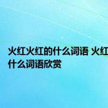 火红火红的什么词语 火红火红的什么词语欣赏
