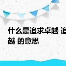 什么是追求卓越 追求卓越 的意思