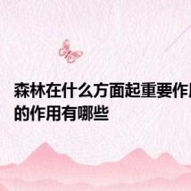 森林在什么方面起重要作用 森林的作用有哪些
