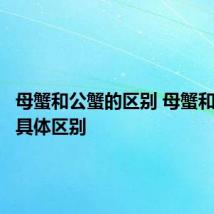 母蟹和公蟹的区别 母蟹和公蟹的具体区别