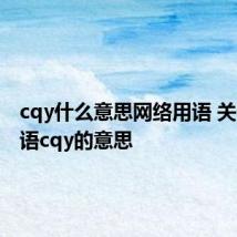 cqy什么意思网络用语 关于网络语cqy的意思