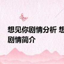 想见你剧情分析 想见你剧情简介