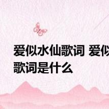 爱似水仙歌词 爱似水仙歌词是什么