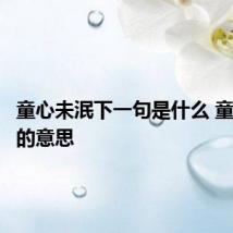 童心未泯下一句是什么 童心未泯的意思