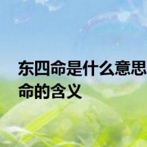 东四命是什么意思 东四命的含义