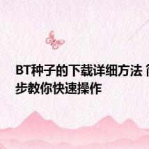 BT种子的下载详细方法 简单几步教你快速操作