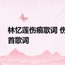 林忆莲伤痕歌词 伤痕整首歌词