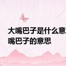 大嘴巴子是什么意思 大嘴巴子的意思