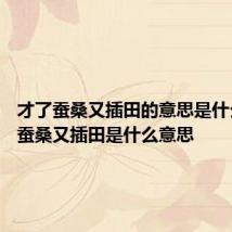 才了蚕桑又插田的意思是什么 才了蚕桑又插田是什么意思