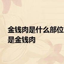 金钱肉是什么部位 什么是金钱肉