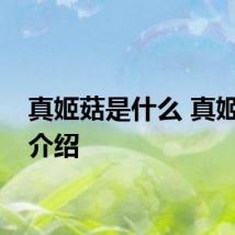 真姬菇是什么 真姬菇的介绍
