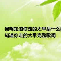 我明知道你走的太早是什么歌 我明知道你走的太早完整歌词