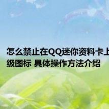 怎么禁止在QQ迷你资料卡上显示等级图标 具体操作方法介绍