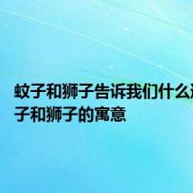 蚊子和狮子告诉我们什么道理 蚊子和狮子的寓意
