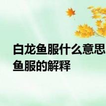 白龙鱼服什么意思 白龙鱼服的解释
