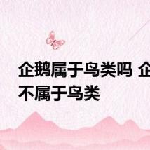 企鹅属于鸟类吗 企鹅属不属于鸟类