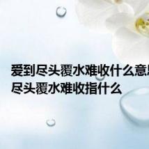 爱到尽头覆水难收什么意思 爱到尽头覆水难收指什么