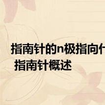 指南针的n极指向什么方 指南针概述