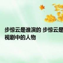 步惊云是谁演的 步惊云是哪部电视剧中的人物