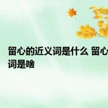 留心的近义词是什么 留心的近义词是啥