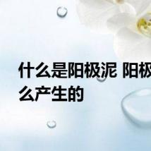 什么是阳极泥 阳极泥怎么产生的