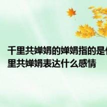 千里共婵娟的婵娟指的是什么 千里共婵娟表达什么感情