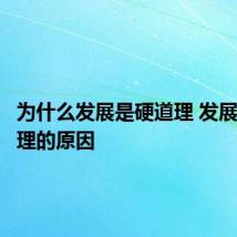 为什么发展是硬道理 发展是硬道理的原因