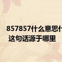 857857什么意思什么梗 这句话源于哪里