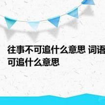 往事不可追什么意思 词语往事不可追什么意思