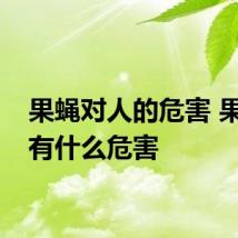 果蝇对人的危害 果蝇虫有什么危害