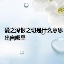 爱之深恨之切是什么意思 这句话出自哪里