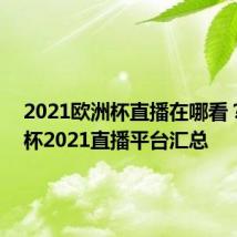 2021欧洲杯直播在哪看? 欧洲杯2021直播平台汇总