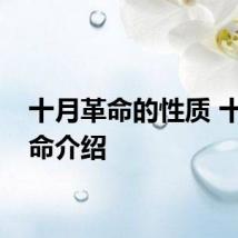 十月革命的性质 十月革命介绍