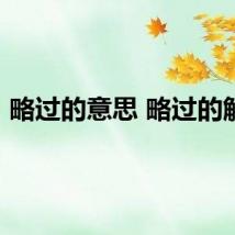 略过的意思 略过的解释