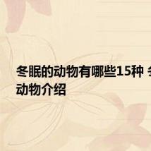 冬眠的动物有哪些15种 冬眠的动物介绍