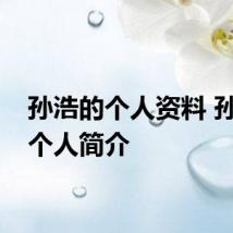 孙浩的个人资料 孙浩的个人简介