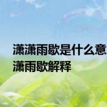 潇潇雨歇是什么意思 潇潇雨歇解释