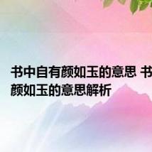 书中自有颜如玉的意思 书中自有颜如玉的意思解析