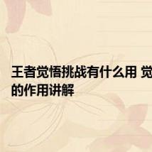 王者觉悟挑战有什么用 觉悟挑战的作用讲解