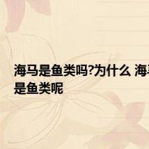海马是鱼类吗?为什么 海马是不是鱼类呢