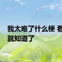 我太难了什么梗 看完你就知道了