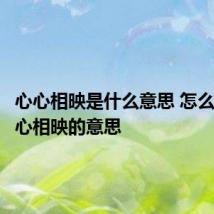 心心相映是什么意思 怎么理解心心相映的意思