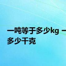 一吨等于多少kg 一吨是多少千克