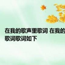 在我的歌声里歌词 在我的歌声里歌词歌词如下