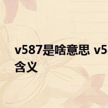 v587是啥意思 v587的含义