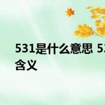 531是什么意思 531的含义